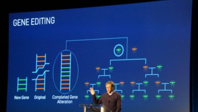 الذكاء الاصطناعي و تحرير الجينات