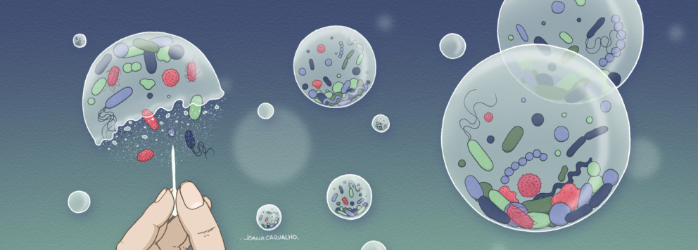 نموذج رياضي