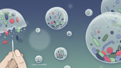 نموذج رياضي