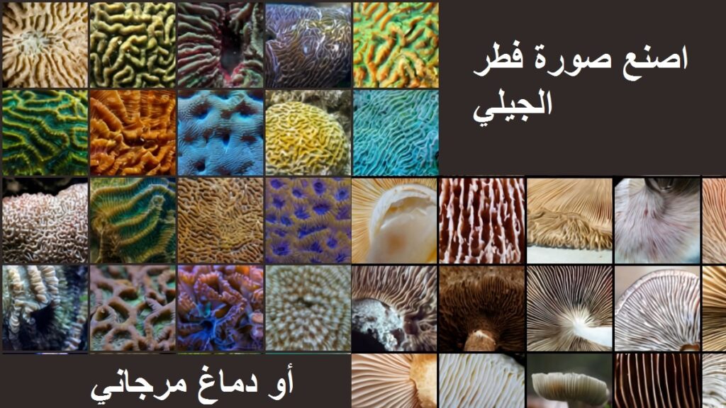 صناعة و إنشاء الصور