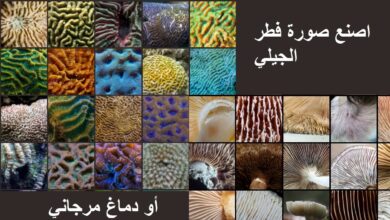 صناعة و إنشاء الصور