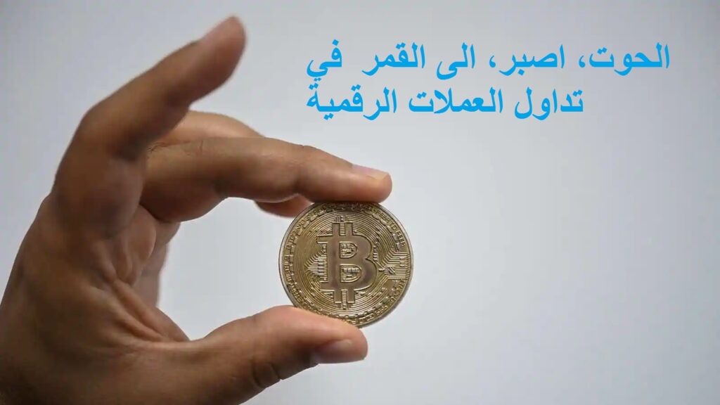 الحوت، اصبر، الى القمر و مصطلحات عامية اخري في تداول العملات الرقمية