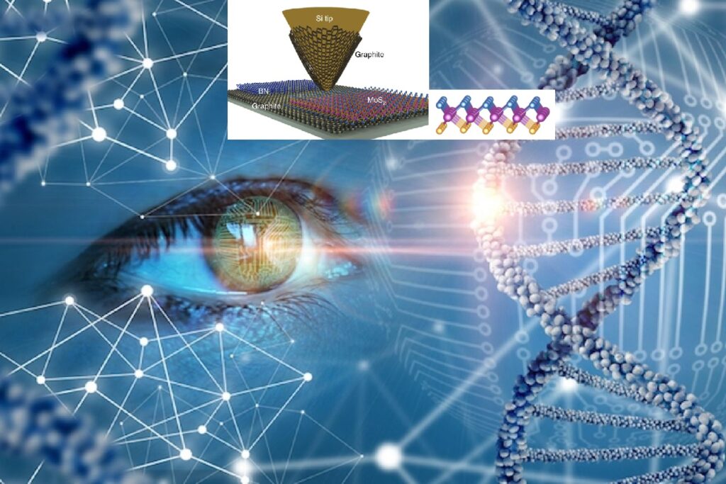 عين اصطناعية كهربائية تم تطويرها باستخدام تقنية النانو