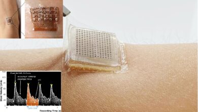 رقعة جلدية تعمل بالموجات فوق الصوتية تتيح مشاهدة دقات القلب