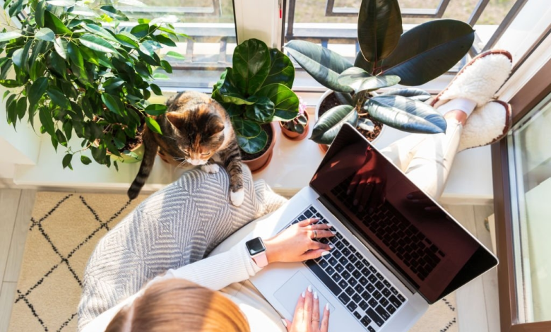 العمل عن بعد