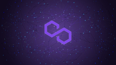 كيفية استخدام Polygon في تطوير البلوكتشين