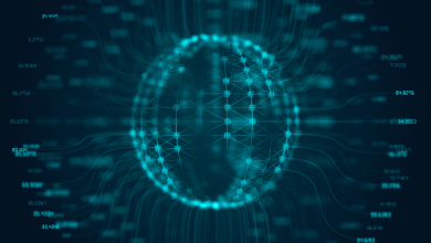 ما هي شبكة WOO